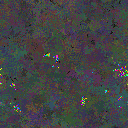 World at epoch 80000