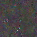 World at epoch 81000