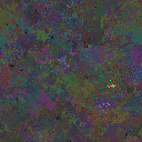 World at epoch 77000