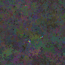 World at epoch 95000