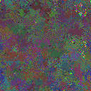 World at epoch 135000