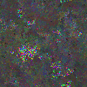 World at epoch 78000