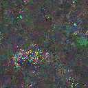 World at epoch 79000