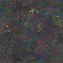 World at epoch 115000