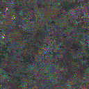 World at epoch 80000