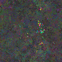 World at epoch 125000