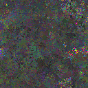 World at epoch 80000