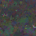 World at epoch 85000