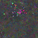 World at epoch 106000