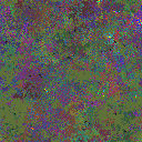 World at epoch 159000