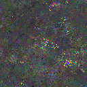 World at epoch 61000