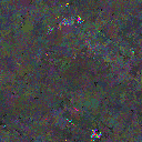 World at epoch 77000