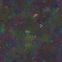 World at epoch 79000