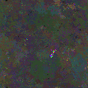 World at epoch 80000