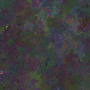 World at epoch 65000