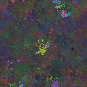 World at epoch 115000