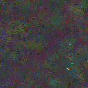 World at epoch 69000