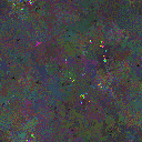 World at epoch 95000
