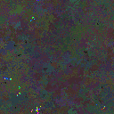World at epoch 79000