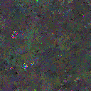 World at epoch 61000