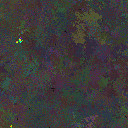 World at epoch 81000