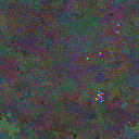 World at epoch 137000