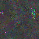 World at epoch 81000