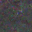 World at epoch 77000