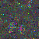 World at epoch 127000