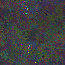 World at epoch 95000