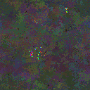 World at epoch 148000