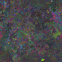 World at epoch 79000