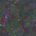 World at epoch 109000