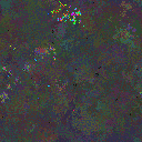 World at epoch 76000