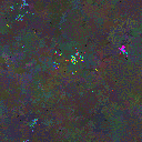 World at epoch 80000