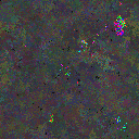 World at epoch 79000