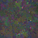World at epoch 123000