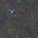 World at epoch 135000