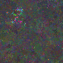 World at epoch 137000