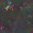 World at epoch 97000