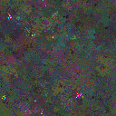 World at epoch 77000