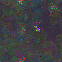World at epoch 116000