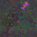 World at epoch 115000