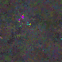 World at epoch 125000