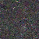 World at epoch 74000