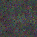 World at epoch 79000
