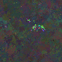 World at epoch 137000