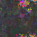World at epoch 81000
