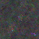 World at epoch 77000