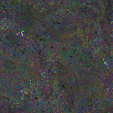 World at epoch 95000